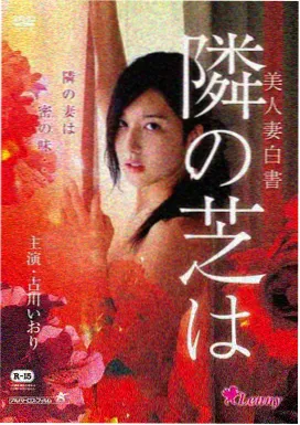 小姐电影海报 韩国剧情电影大全收录